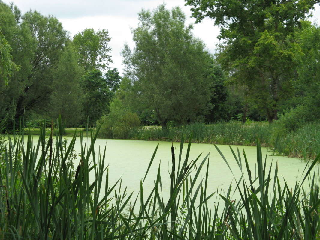 �������� ���� ����� ������� ��������� �� PhotoGeek.ru #������ ��� �������