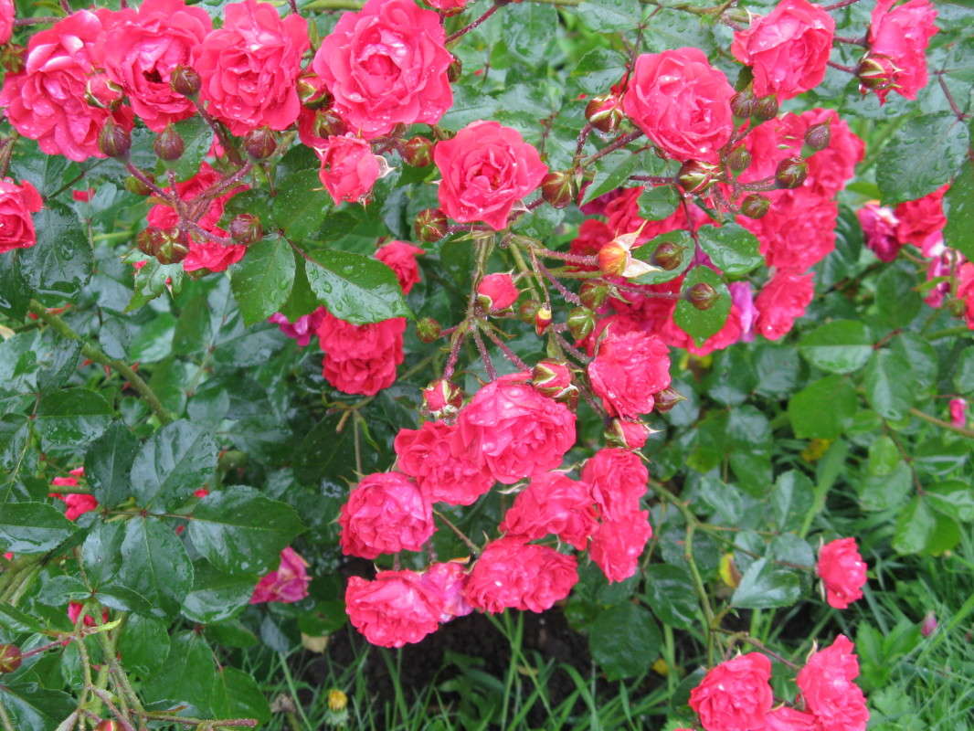 ���� ����� ������� ��������� �� PhotoGeek.ru #������ ��� ������� #����� ��������������