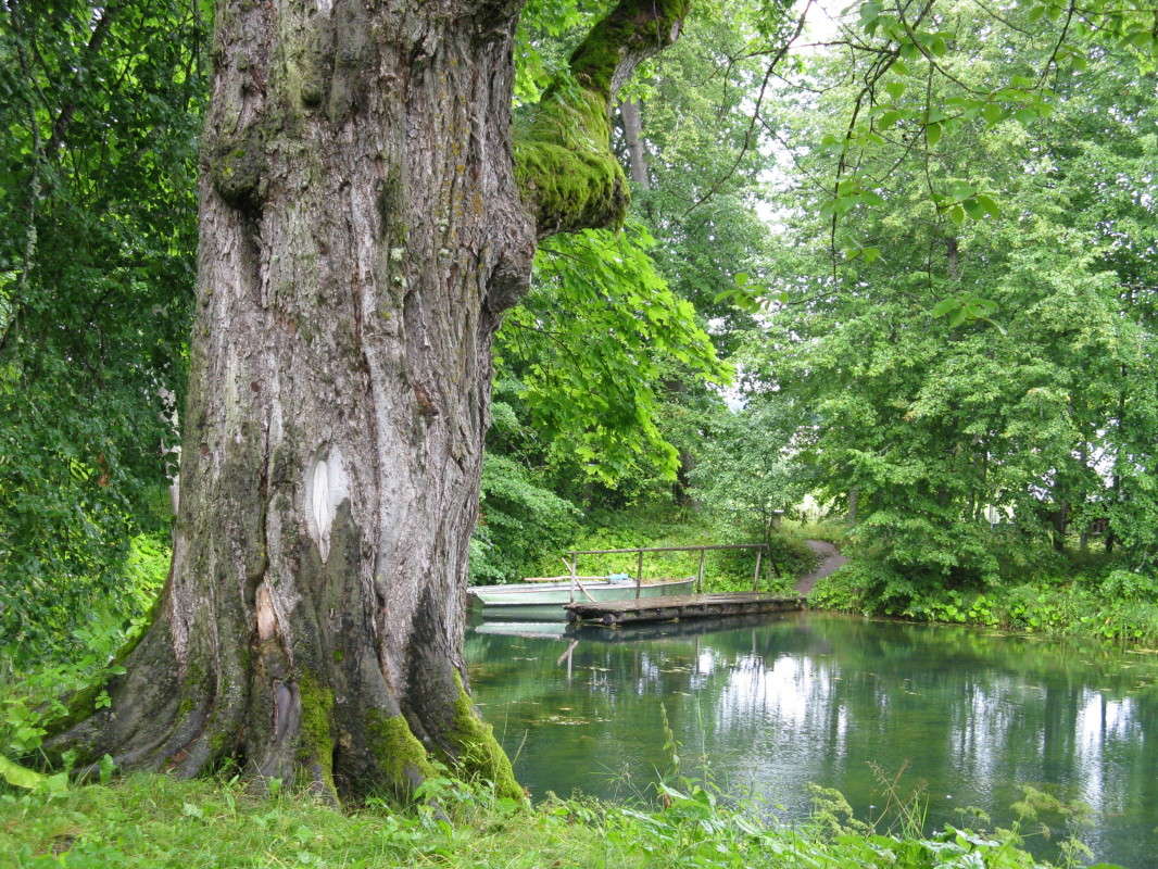 �� ������ ����� ����� ������� ��������� �� PhotoGeek.ru #������ ��� ������� #����� ��������������