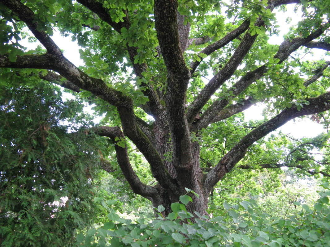 ����������� ������ ����� ������� ��������� �� PhotoGeek.ru #������ ��� ������� #����� ��������������