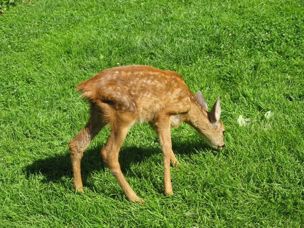 �������� ����� ������� ��������� �� PhotoGeek.ru #�������� ���