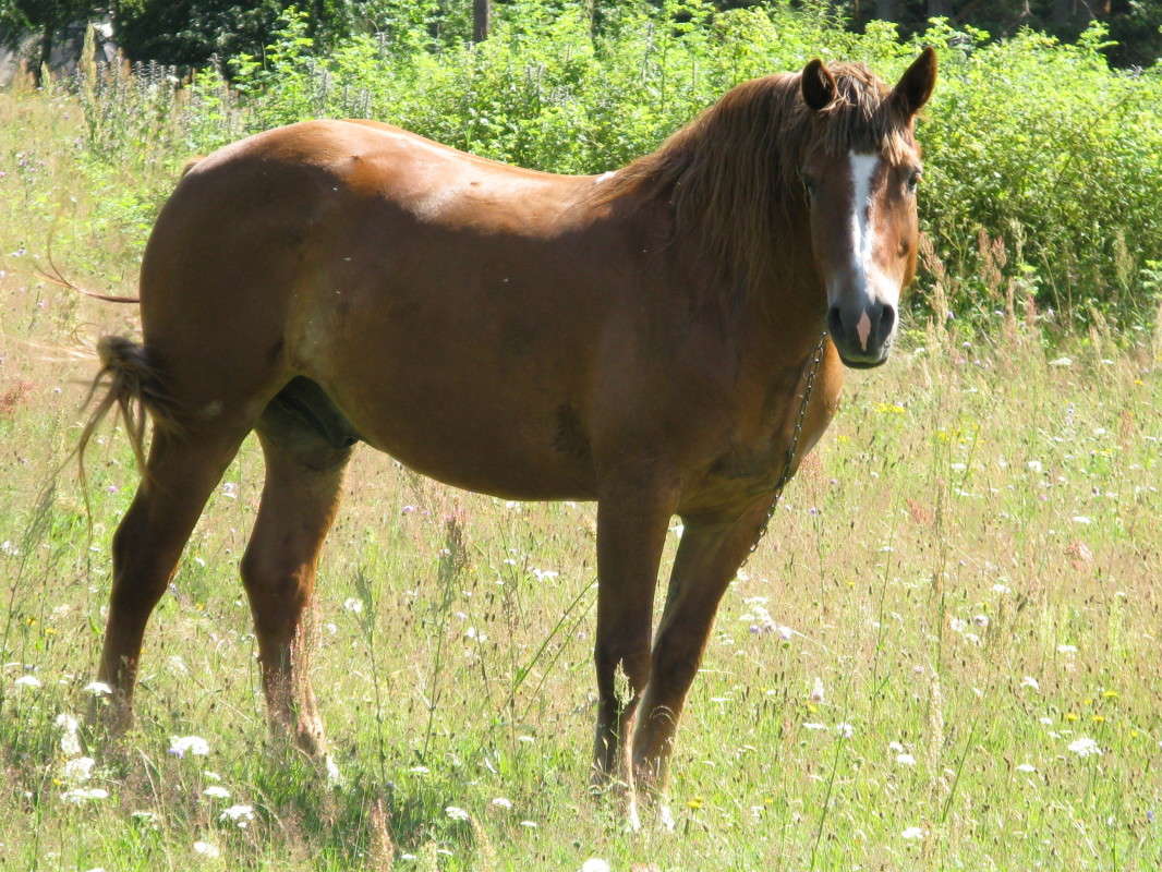 ������ �� ���� ����� ������� ��������� �� PhotoGeek.ru #�������� ��� #������ ��� �������