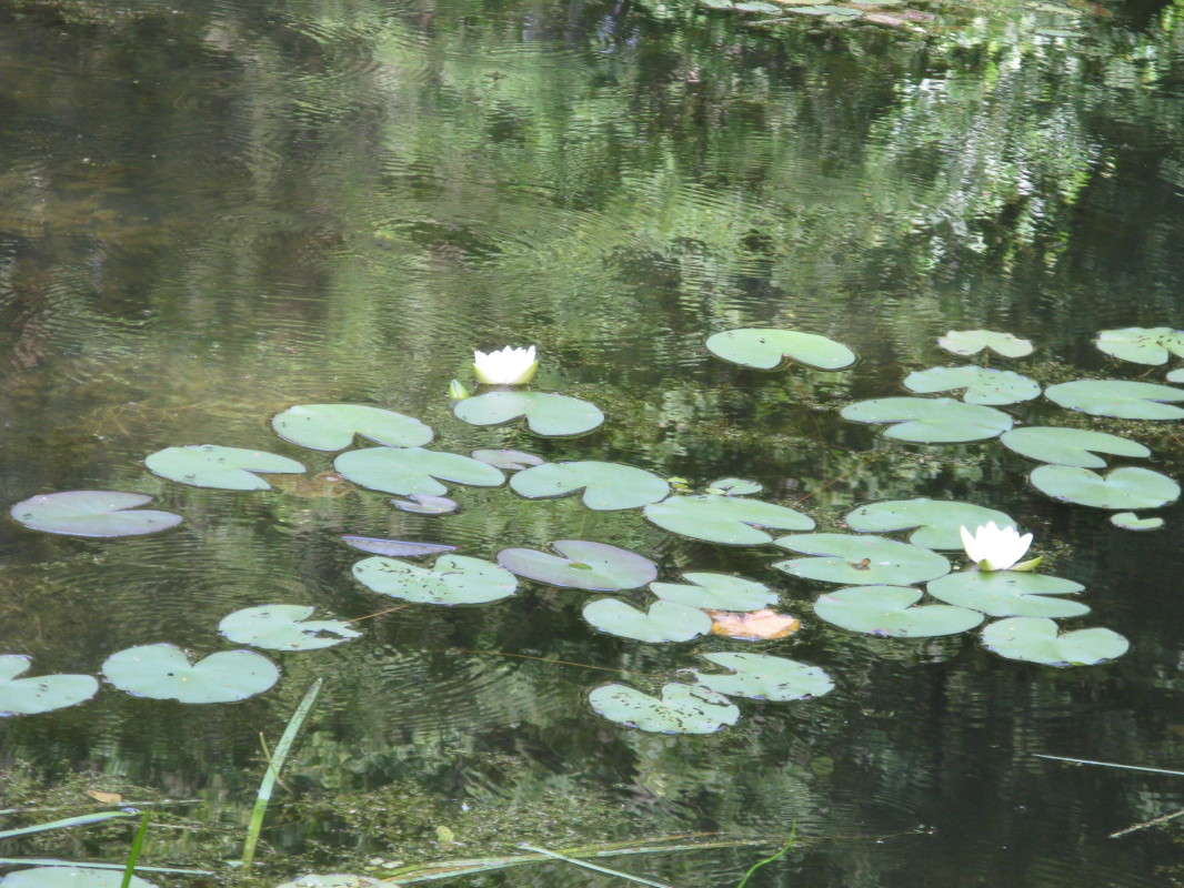 �������� ����� ������� ��������� �� PhotoGeek.ru #������ ��� �������