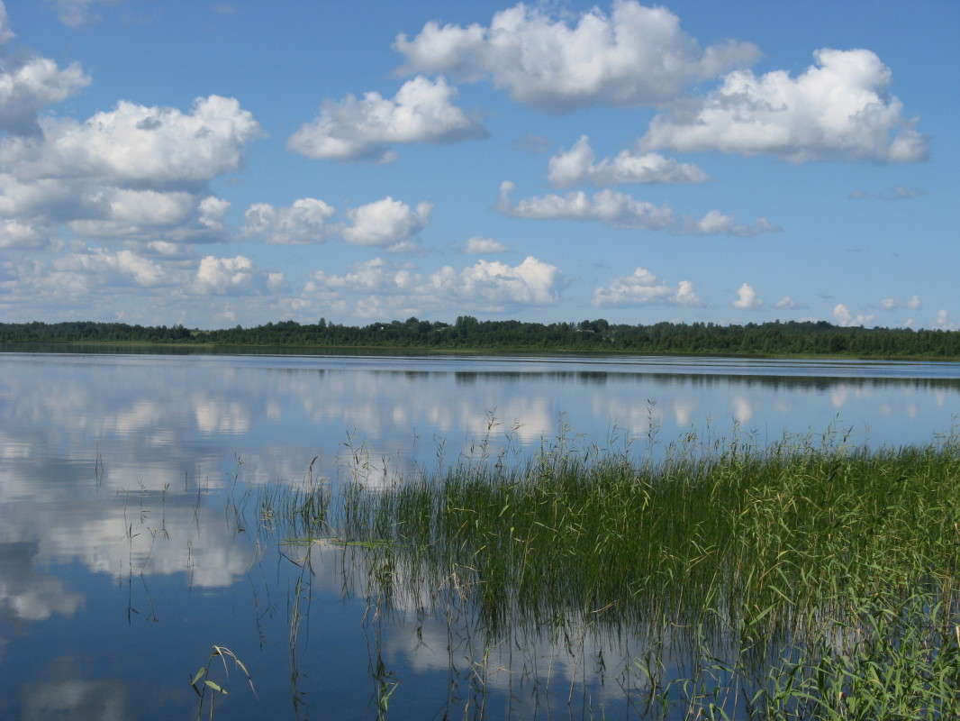 ���� ��� ������� ����� ������� ��������� �� PhotoGeek.ru #������ ��� �������