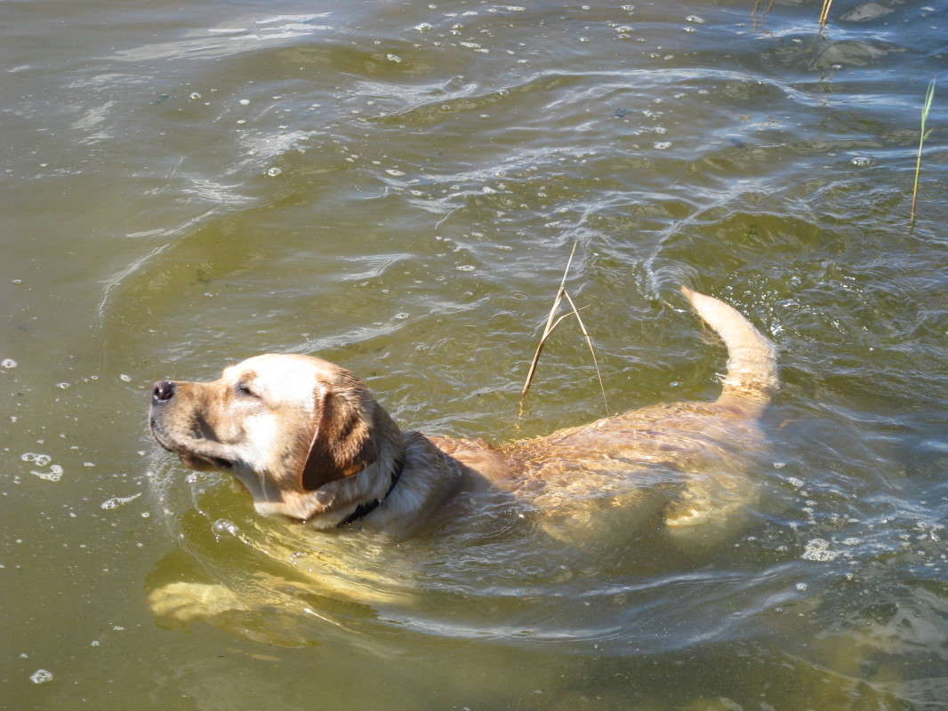 ��������� �� ����� ������� ��������� �� PhotoGeek.ru #�������� ���