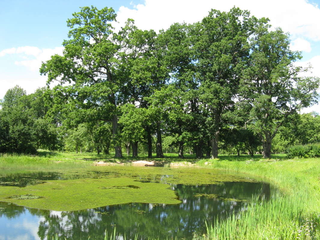 �������� ������ ����� ������� ��������� �� PhotoGeek.ru #������ ��� �������