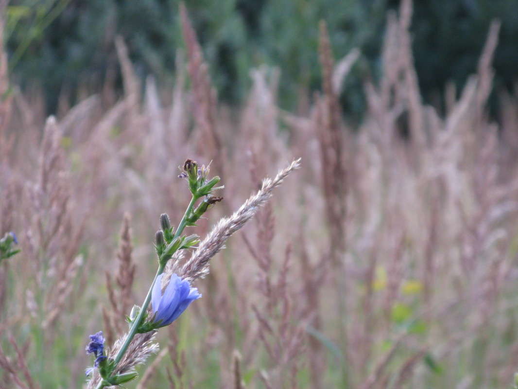 ������� � ������ ����� ������� ��������� �� PhotoGeek.ru #������ ��� ������� #����� ��������������