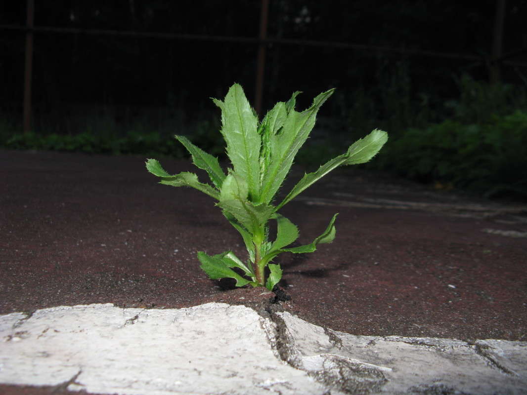 �������� ����� ������� ��������� �� PhotoGeek.ru #����� #������ ��� ������� #����� ��������������