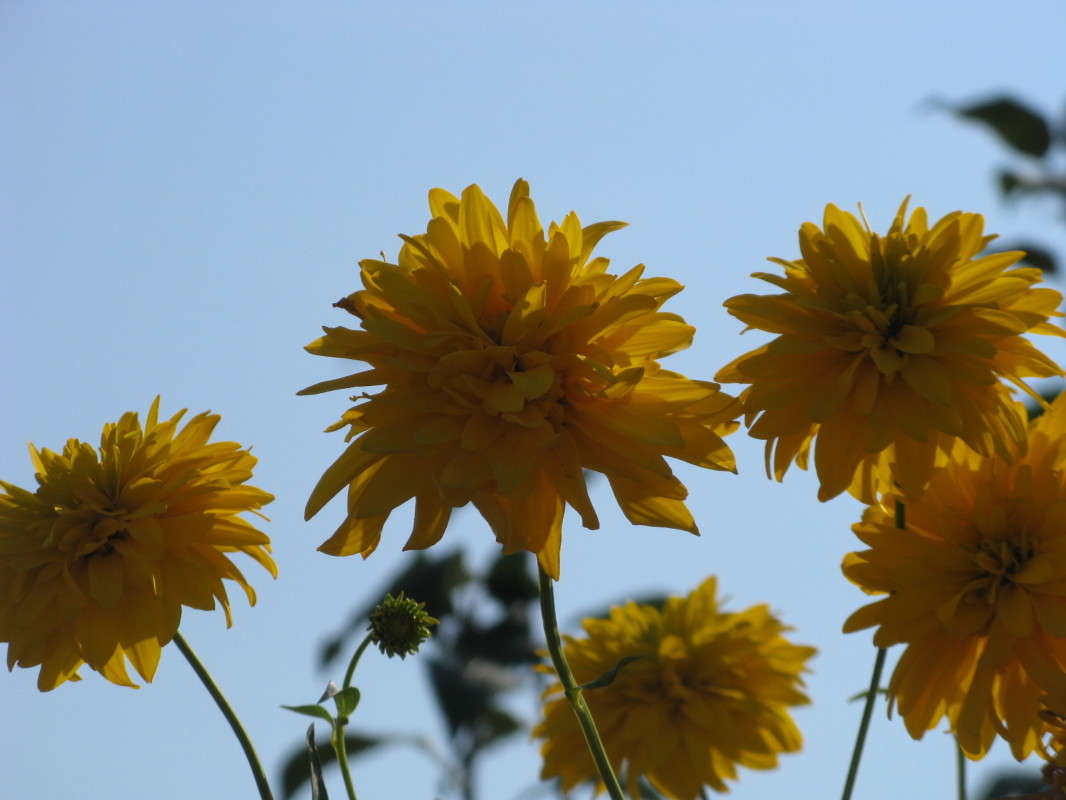 �������� ����� ������� ��������� �� PhotoGeek.ru #������ ��� ������� #����� ��������������