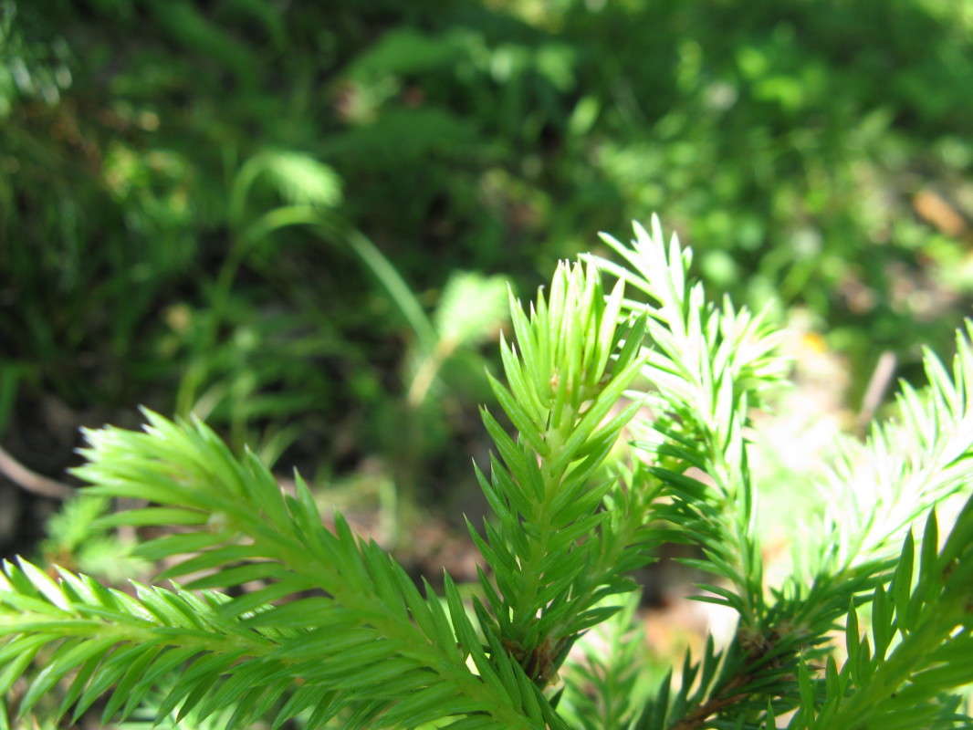 �������� ����� ������� ��������� �� PhotoGeek.ru #����� #������ ��� ������� #����� ��������������