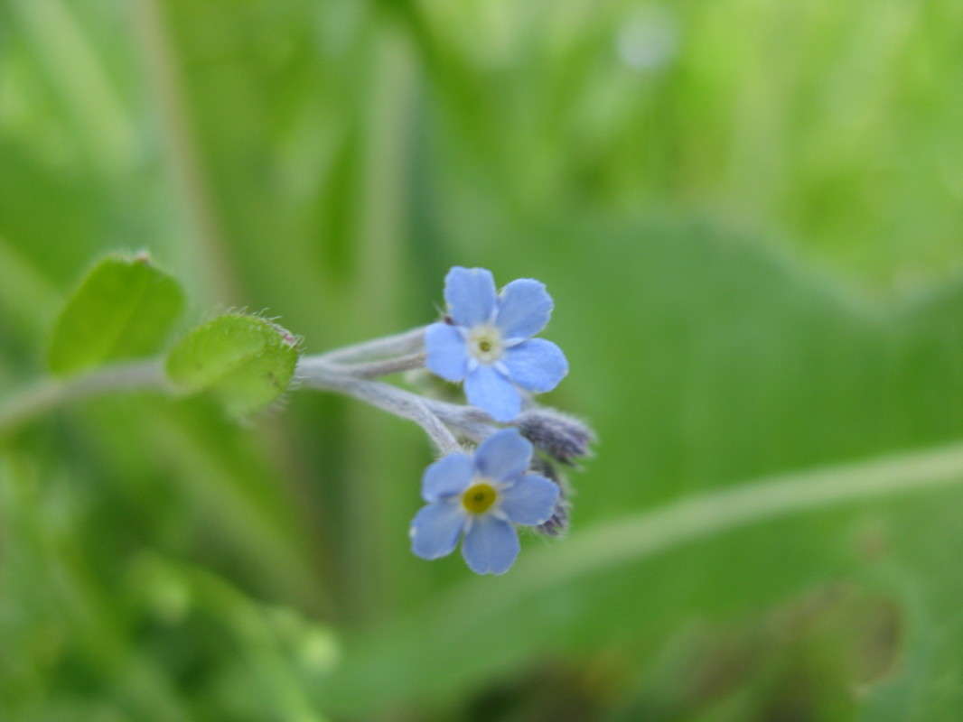 ��������� ����� ������� ��������� �� PhotoGeek.ru #����� #������ ��� ������� #����� ��������������