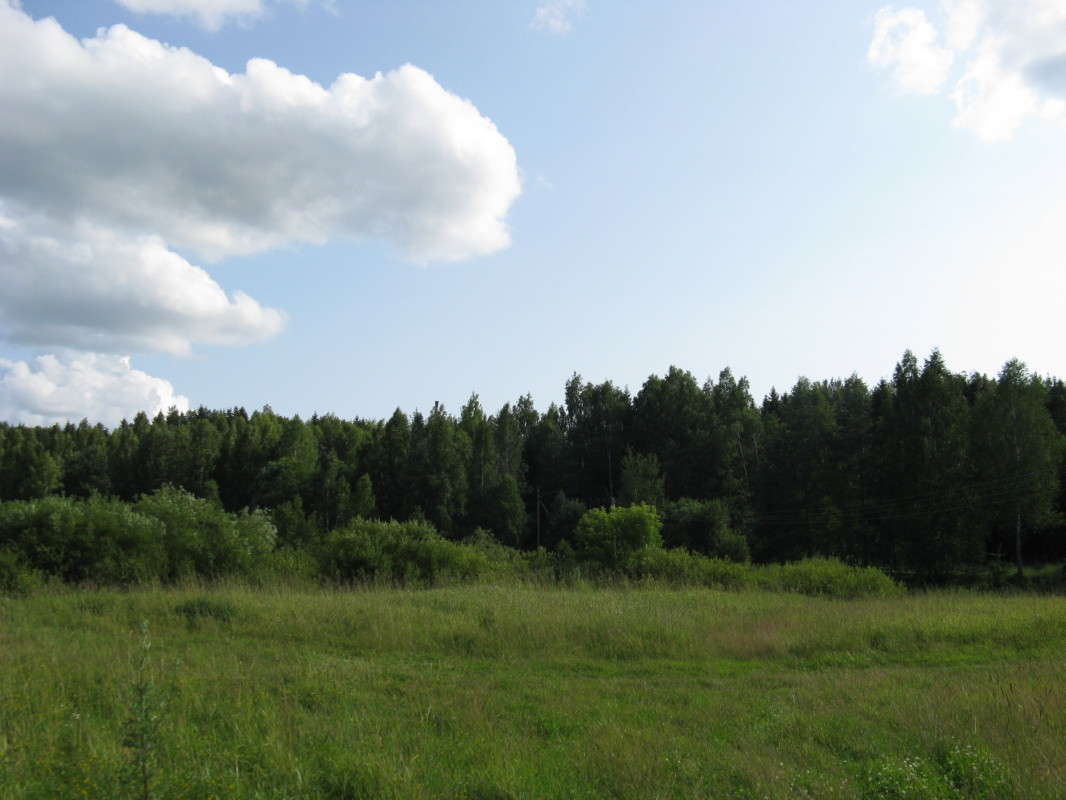 ���� � ��� ����� ������� ��������� �� PhotoGeek.ru #������ ��� ������� #����� �������������� #��������