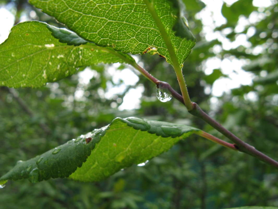 ����� ������ ����� ������� ��������� �� PhotoGeek.ru #����� #������ ��� ������� #����� ��������������