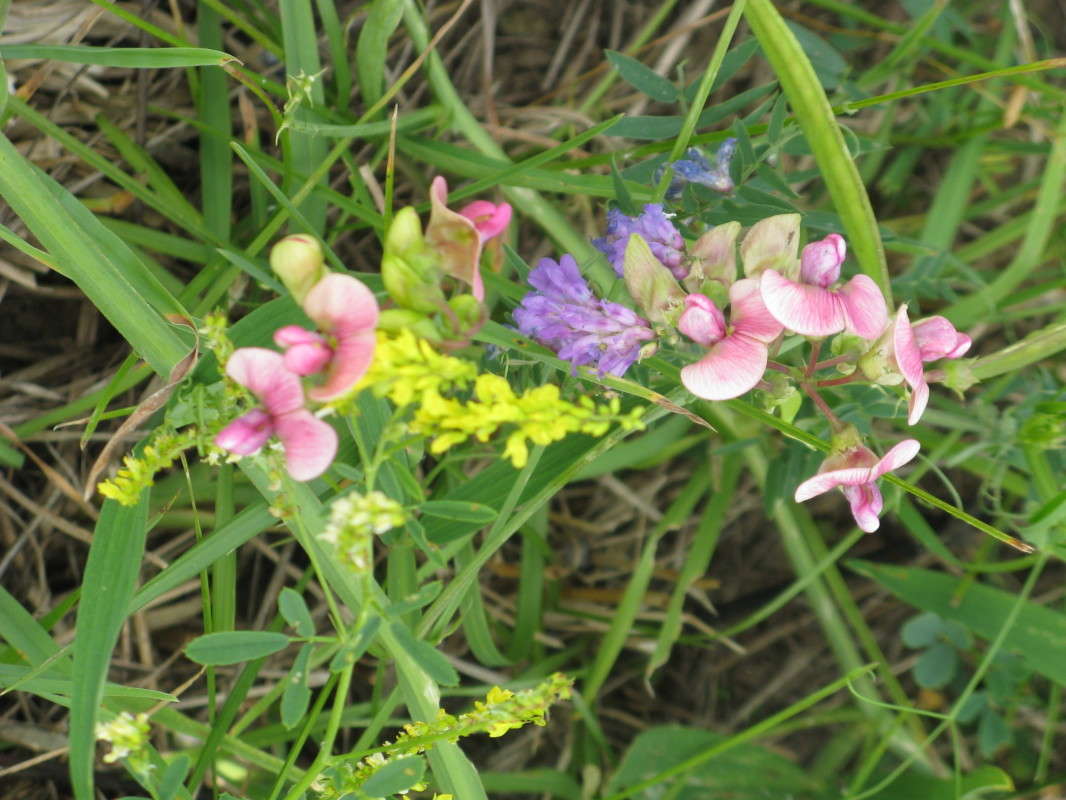 ����� ����� ������� ��������� �� PhotoGeek.ru #����� #������ ��� ������� #����� ��������������