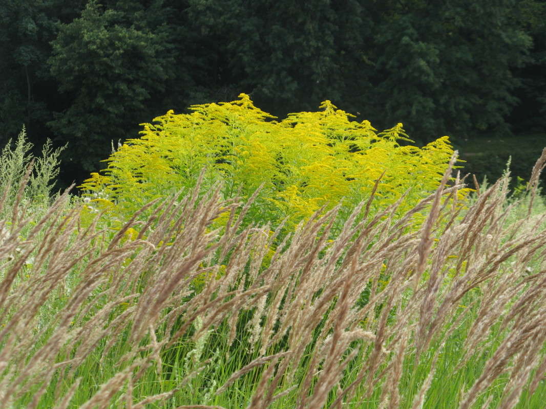 ����������� ����� ������� ��������� �� PhotoGeek.ru