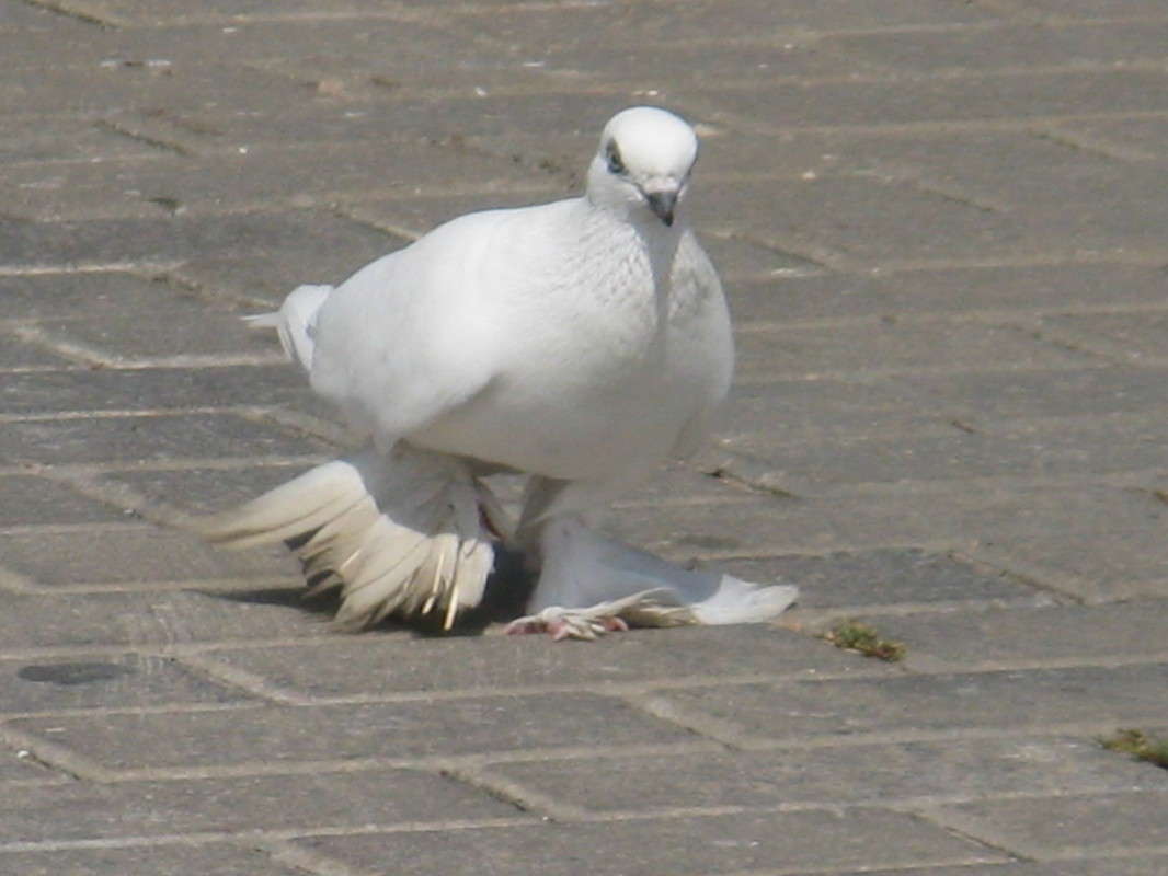 ����� ������ ����� ������� ��������� �� PhotoGeek.ru #�������� ���