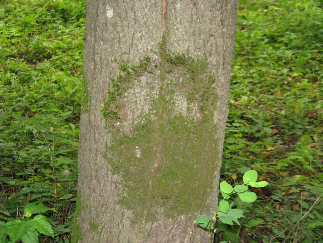 ���� �� ��� ����� ������� ��������� �� PhotoGeek.ru #������ ��� ������� #����� ��������������