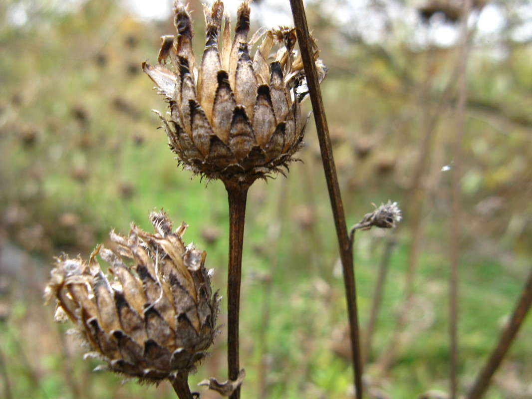 ������� ������ ����� ������� ��������� �� PhotoGeek.ru #����� #������ ��� �������