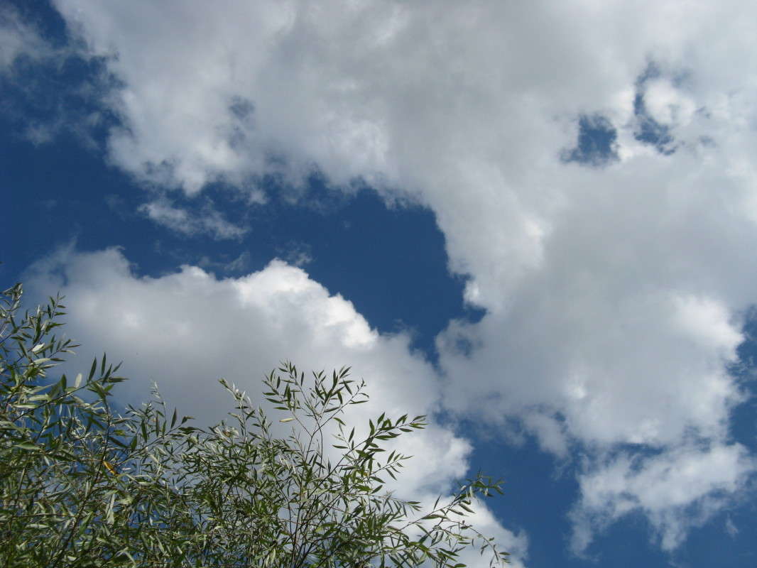 ����� ���� ����� ������� ��������� �� PhotoGeek.ru #������ ��� �������