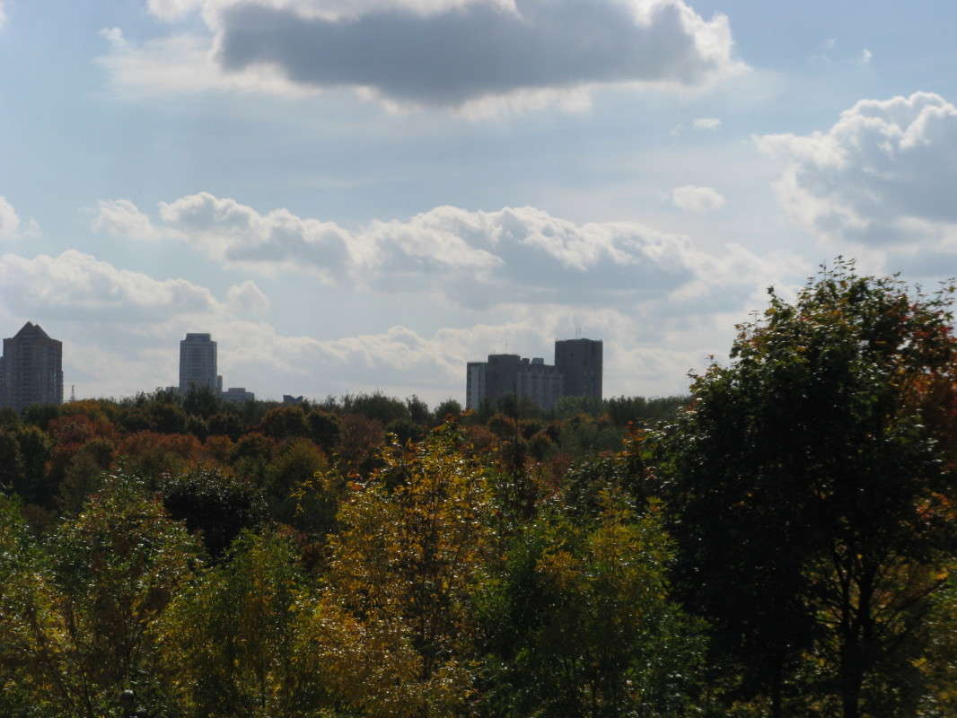 ������� VS �����. ������� �������� ����� ������� ��������� �� PhotoGeek.ru #����� #������ ��� ������� #��������