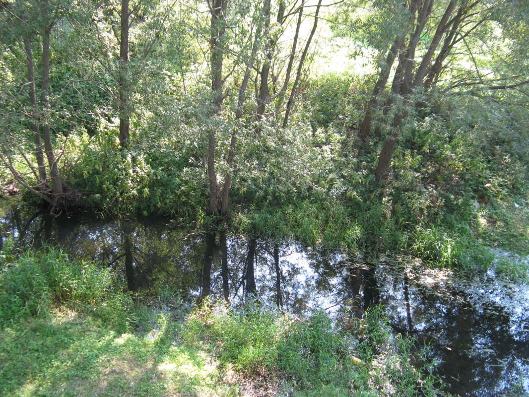 ����� � ���� ����� ������� ��������� �� PhotoGeek.ru #������ ��� �������