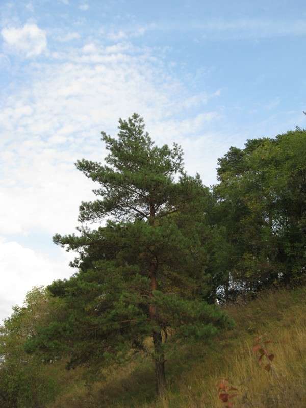 ����� �� ������ ����� ������� ��������� �� PhotoGeek.ru #������ ��� ������� #����� ��������������