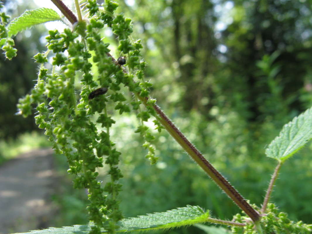 ������� ����� ������� ��������� �� PhotoGeek.ru #����� #������ ��� ������� #����� ��������������