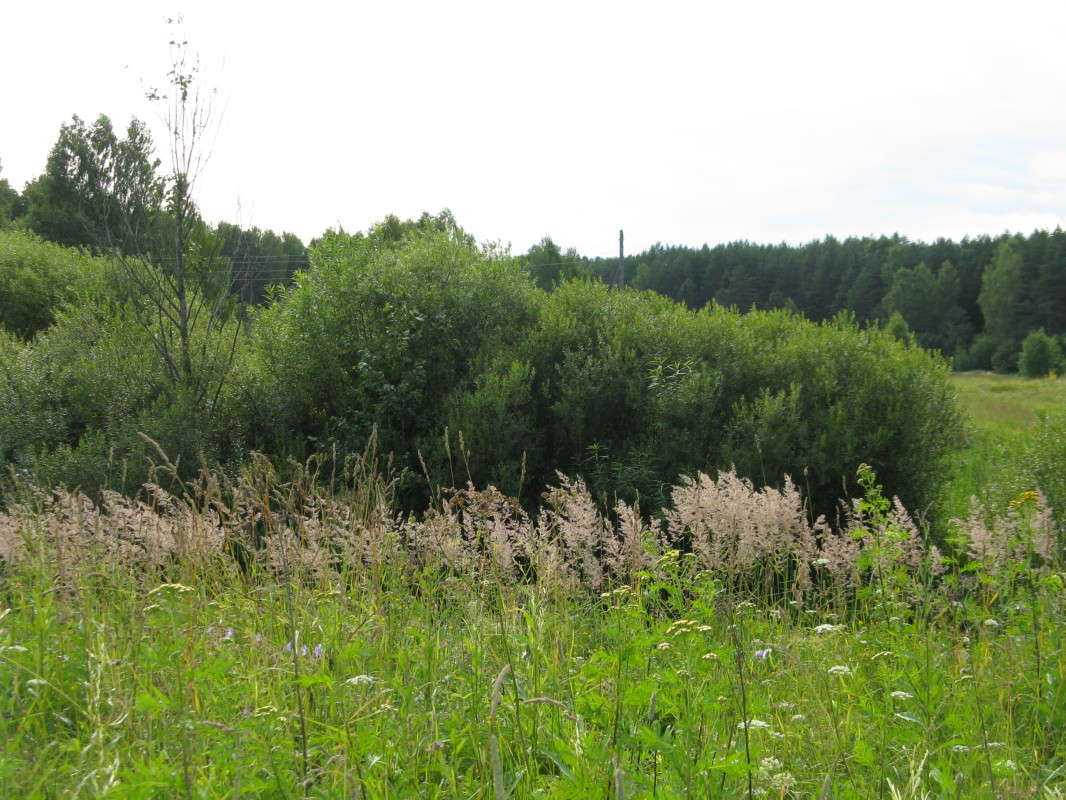 �������� ����� ������� ��������� �� PhotoGeek.ru #������ ��� ������� #����� ��������������