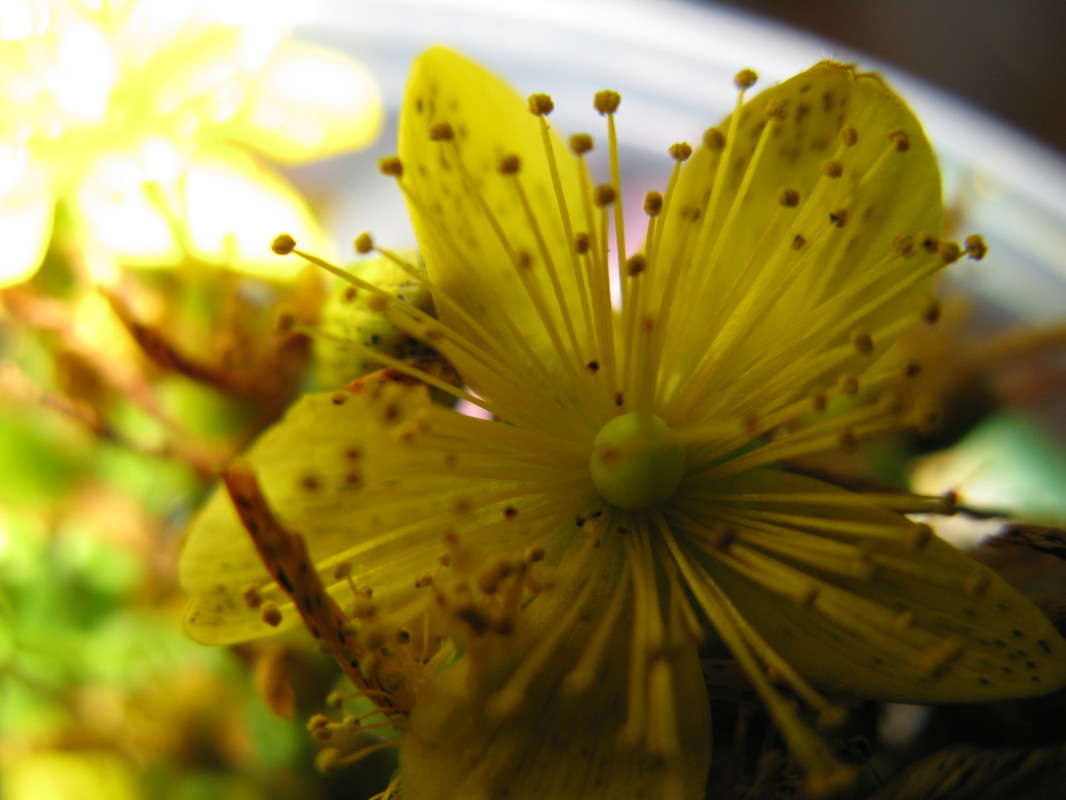 �������� ����� ������� ��������� �� PhotoGeek.ru #����� #����� ��������������