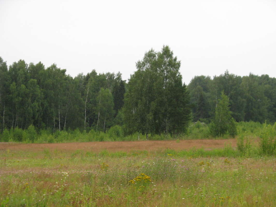 � ����. ������ ���� ����� ������� ��������� �� PhotoGeek.ru #������ ��� ������� #����� ��������������