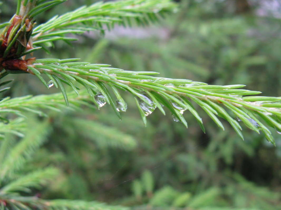 ������� ���. ����� ����� ����� ������� ��������� �� PhotoGeek.ru #����� #������ ��� ������� #����� ��������������