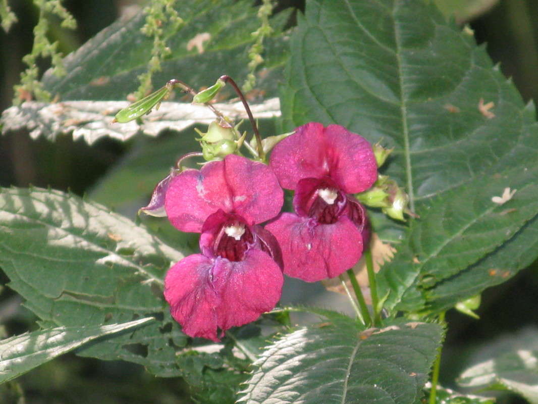 ������ ����� ������� ��������� �� PhotoGeek.ru #����� #������ ��� ������� #����� ��������������