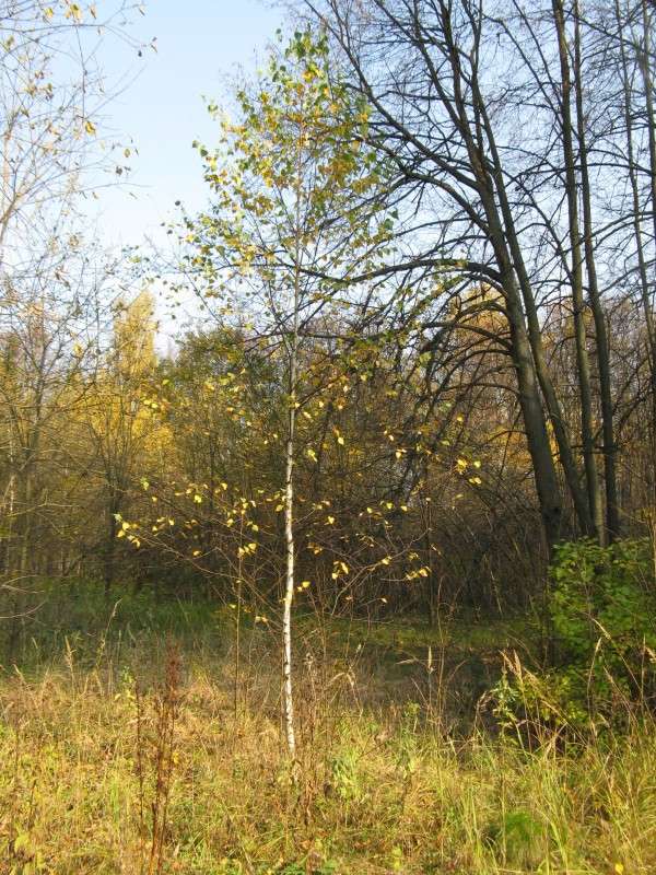 ���. ������ ����� ����� ������� ��������� �� PhotoGeek.ru #������ ��� ������� #����� ��������������