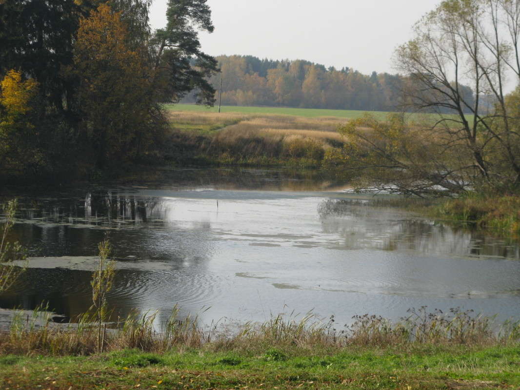 ����� ����� ������� ��������� �� PhotoGeek.ru #������ ��� �������