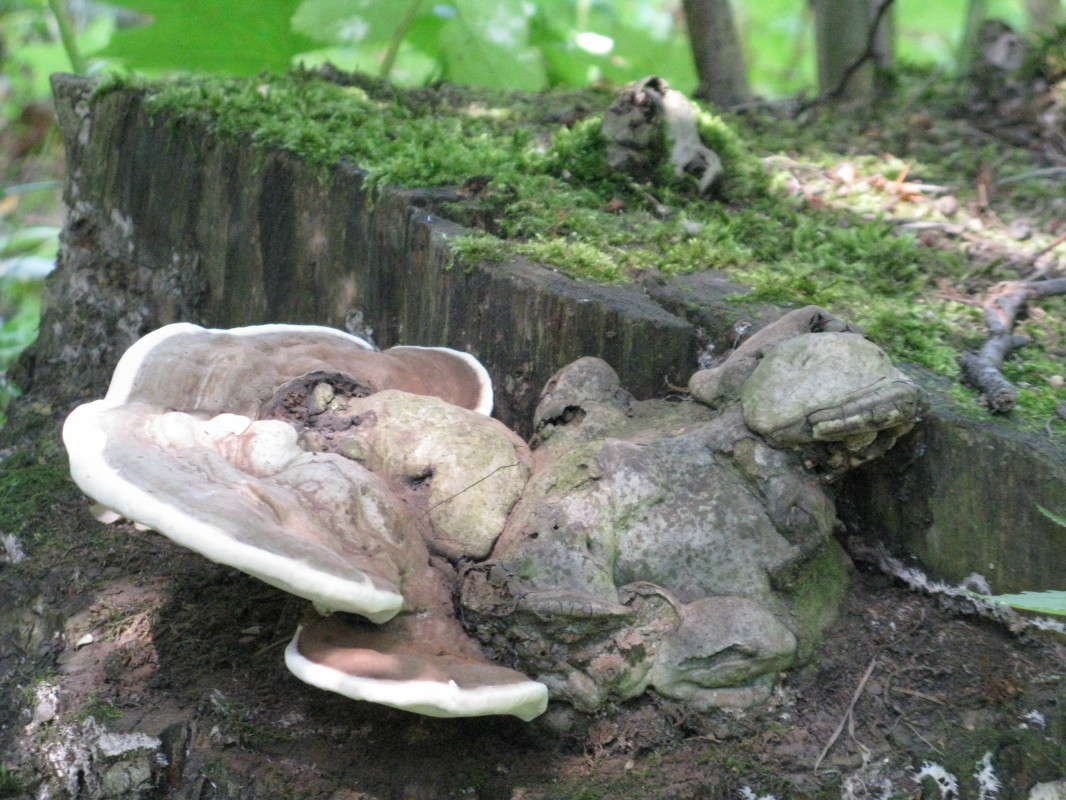 �� ��� ����� ������� ��������� �� PhotoGeek.ru #����� #������ ��� �������