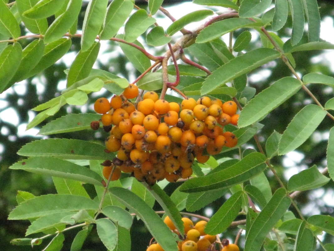 ������. ������ �������� ����� ������� ��������� �� PhotoGeek.ru #����� #������ ��� ������� #����� ��������������