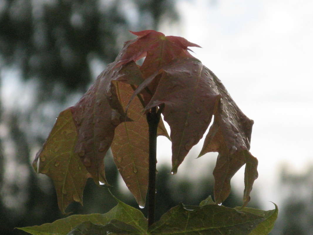 �����. ������� ��� ����� ������� ��������� �� PhotoGeek.ru #����� #������ ��� ������� #����� ��������������