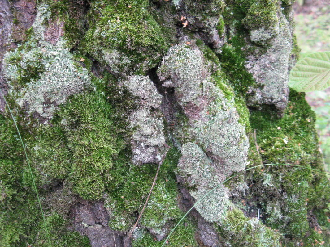 ������ ������ ����� ������� ��������� �� PhotoGeek.ru #����� #������ ��� �������