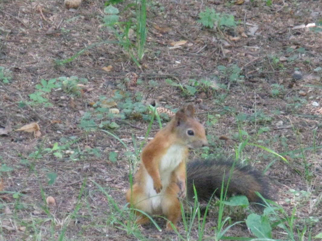 ����� ��������? ����� ������� ��������� �� PhotoGeek.ru #�������� ��� #������ ��� ������� #����� ��� ��� ���������