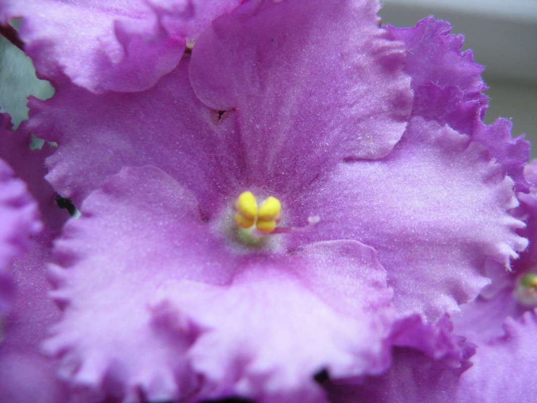 ������ ����� ������� ��������� �� PhotoGeek.ru #����� #������ ��� ������� #����� ��������������