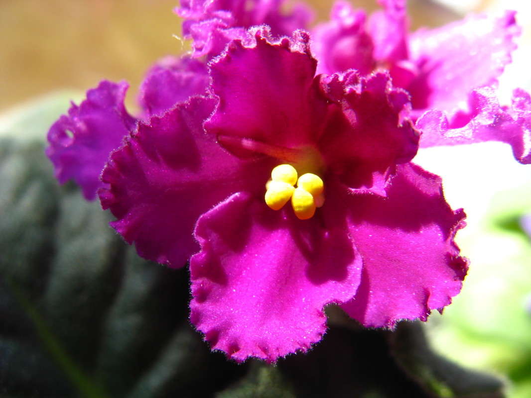 ������ (2) ����� ������� ��������� �� PhotoGeek.ru #����� #������ ��� ������� #����� ��������������