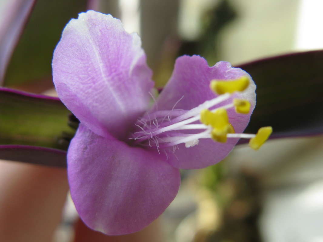 ������� ����� ����� ������� ��������� �� PhotoGeek.ru #����� #������ ��� ������� #����� ��������������