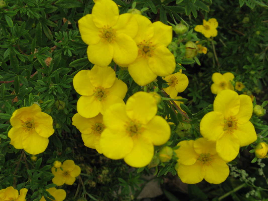 Ƹ���� ����� ����� ������� ��������� �� PhotoGeek.ru #����� #������ ��� ������� #����� ��������������