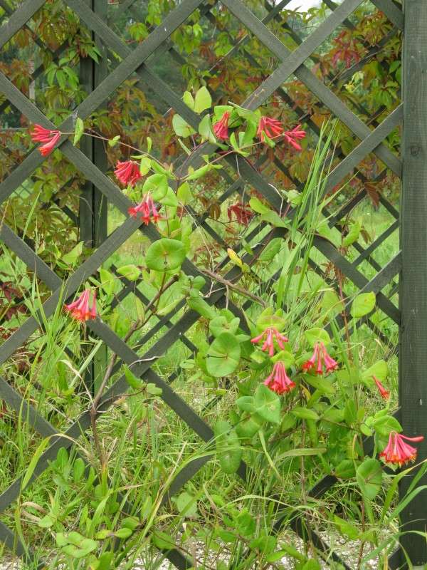 ����� �������� ����� ������� ��������� �� PhotoGeek.ru #������ ��� ������� #����� ��������������