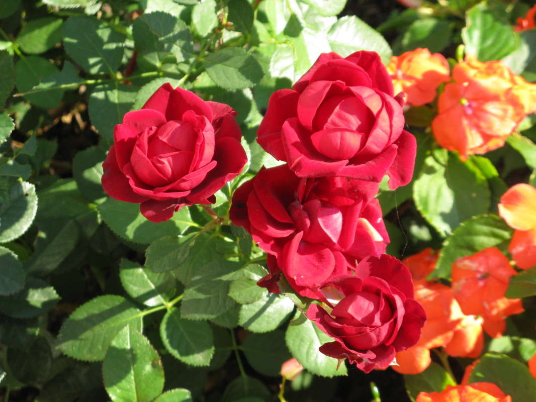 ���� ���� ����� ������� ��������� �� PhotoGeek.ru #������ ��� ������� #����� ��������������