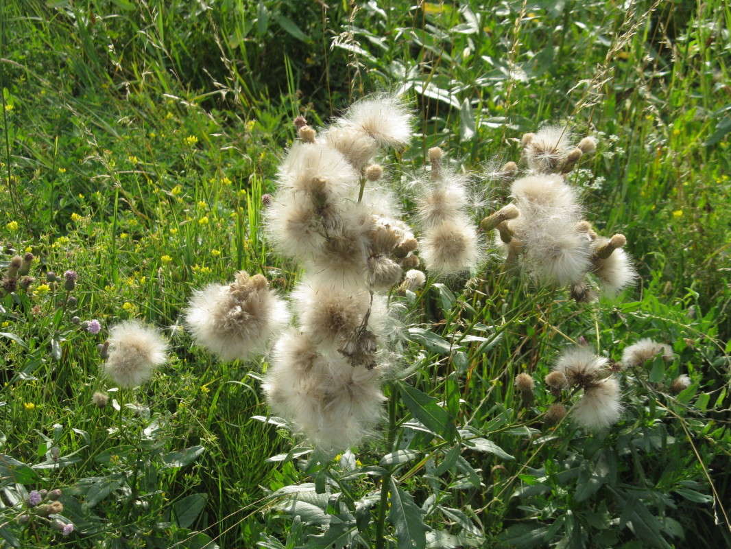 ��������� ����� ������� ��������� �� PhotoGeek.ru #����� #������ ��� ������� #����� ��������������