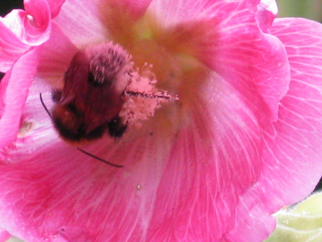 ������ ������ ����� ������� ��������� �� PhotoGeek.ru #����� #������ ��� �������