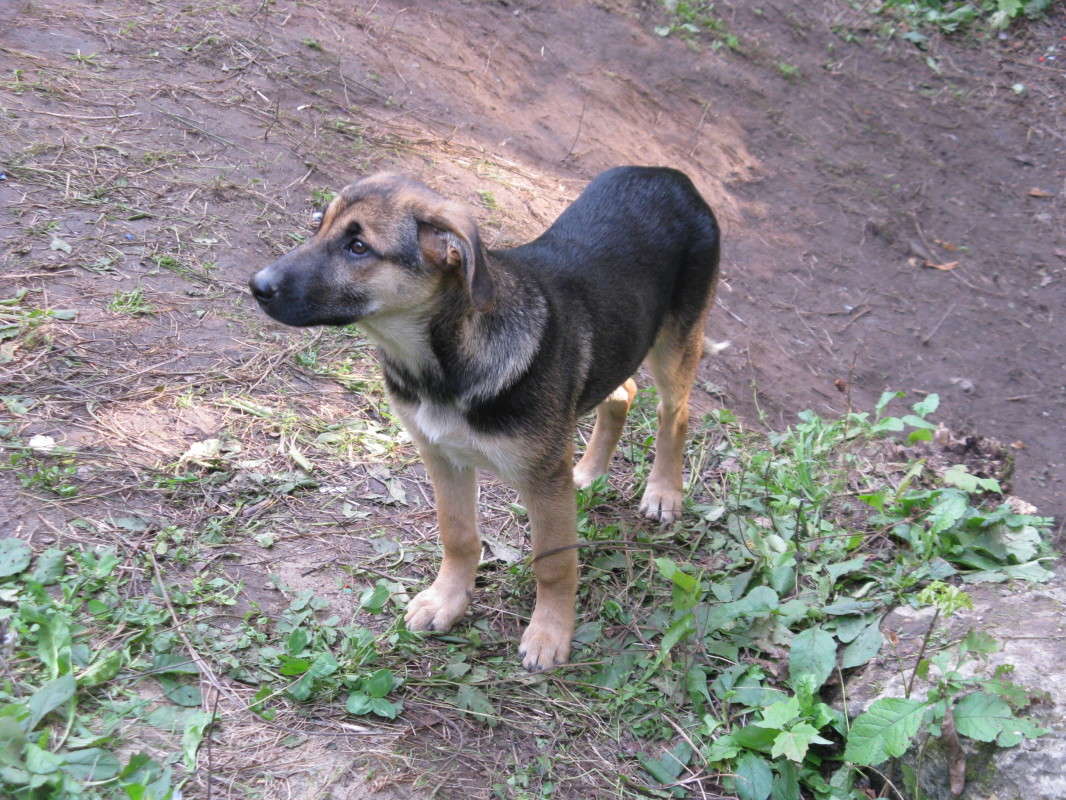 ���� ����� ����� ������� ��������� �� PhotoGeek.ru #�������� ���