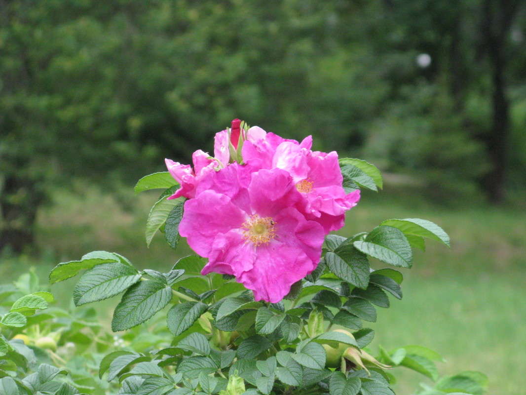 �������� ����� ������� ��������� �� PhotoGeek.ru #������ ��� ������� #����� ��������������