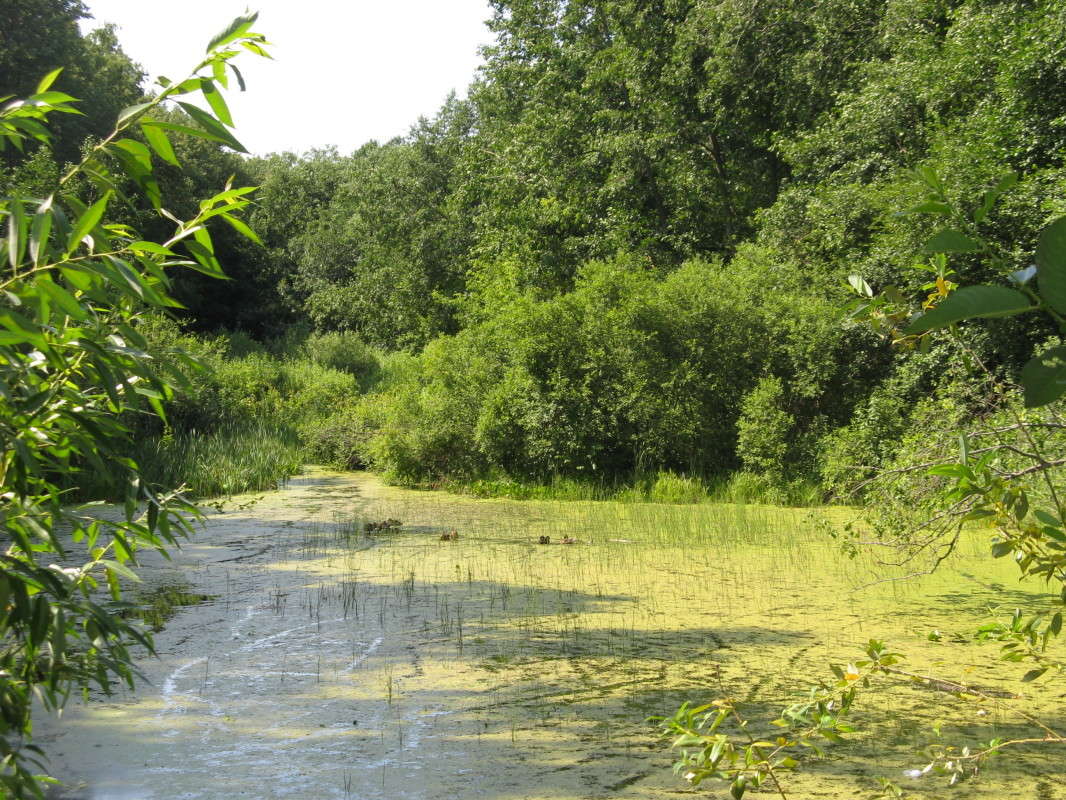 ������ ����� ������� ��������� �� PhotoGeek.ru #������ ��� �������